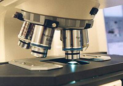 Britští vědci z univerzity v Cardiffu nedávno sestrojili miniaturní mikroskop, který prý může způsobit doslova revoluci ve vyšetřování biologických vzorků.