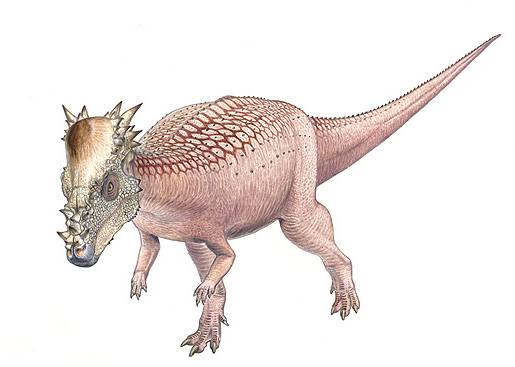 Američtí paleontologové nedávno objevili v Jižní Dakotě téměř neporušenou lebku podivného druhu dinosaura, o jehož existenci doposud neměli ani tušení.
