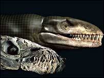 Argentinští vědci oznámili, že objevili dosud neznámý druh pravěkého krokodýla, který měl hlavu dinosaura a ocas ryby. Druh dostal přezdívku Godzilla a žil přibližně před stovkou miliónů let. 