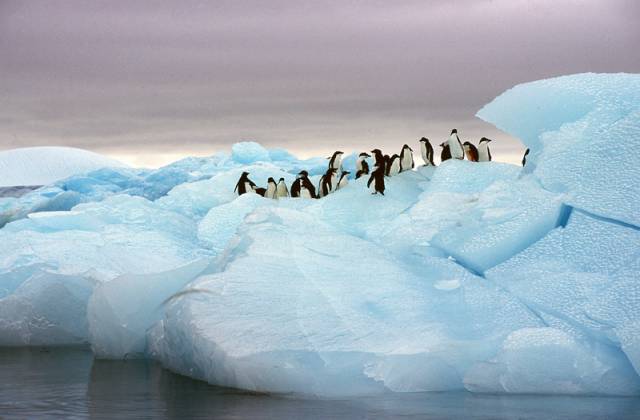 Antarktida je jedním z mála koutů na naší planetě, kde lze ještě najít přírodu bez větších zásahů lidské civilizace. Ano, otevřela se nad ní ozónová díra, ale ta podle posledních výzkumů začíná naštěstí ustupovat. Nad ledovým kontinentem se však nyní vznáší jiná hrozba, plíživá a zákeřná.