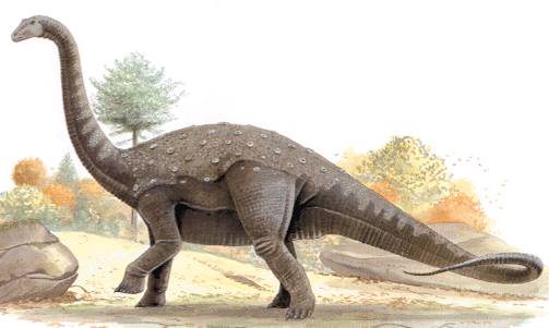 Australští paleontologové oznámili, že odkryli zkamenělé kosti dvou obřích titanosaurů.