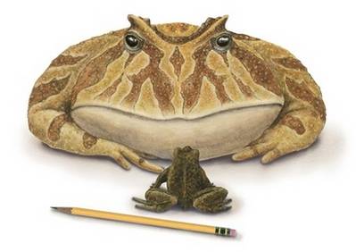 Britští paleontologové objevili pozůstatky žáby, která vážila kolem 4,5 kg.