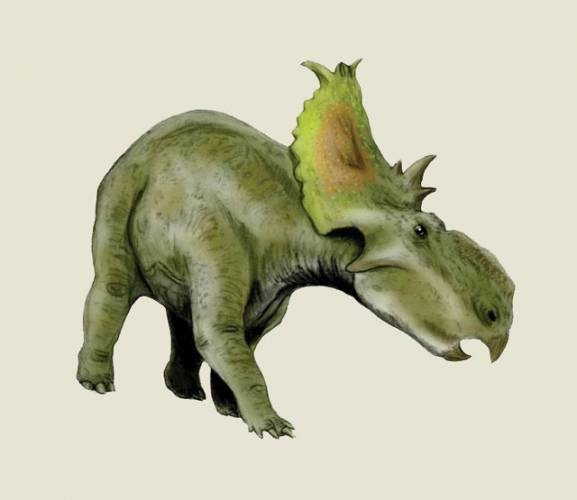 Pokud jde o dinosaury, podařily se již paleontologům takové objevy, o nichž jejich kolegové před půl stoletím neměli ani tušení. Ve světle nových nálezů se nyní zdá, že nejsme daleko od chvíle, kdy se podaří téměř zázrak. Díky molekulární dinosaurologii, jsou vědci na stopě zachovalé DNA tyranosaura.
