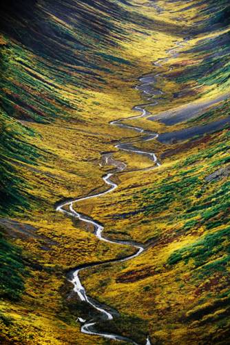 Na leteckém snímku vidíme část národního parku sv. Eliáše na Aljašce. Park vznikl v jižní části Aljašky v roce 1980 a zapsán na listině unikátních přírodních zvláštností světa UNESCO. Jde o největší národní park ve Spojených státech s rozlohou 53 321 km2, je tedy stejně velký jako celé Čechy.