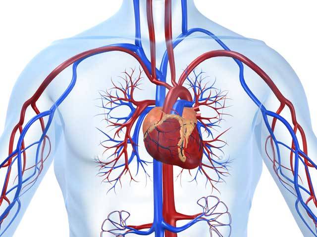 Onemocnění srdce a cév je nejčastější příčinou úmrtí – a ČR patří na přední místo světové černé statistiky. Naše srdíčko je jako motor, pohánějící autíčko – tělo. Jenže i nejlepší motor občas selže. Místo automechaniků nastupují kardiologové. Pro postižené teď mají novou naději!
