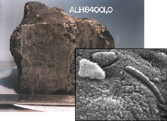 Když v roce 1996 objevili vědci v Antarktidě zvláštní malý kus horniny, netušili, jak obrovsky významný nález se jim dostal do rukou.  Tento „kámen“ je totiž meteoritem, který má původ na Marsu. Odborníci z NASA, kteří jej nedávno znovu prozkoumali, tvrdí, že v něm objevili stopy po dávném životě. 
