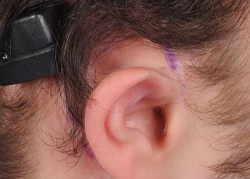 Image thumbnail