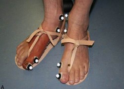 Image thumbnail