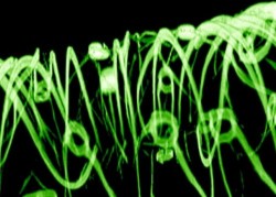 Image thumbnail