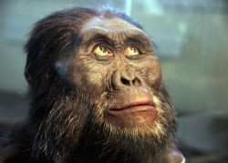 Image thumbnail