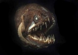 Image thumbnail