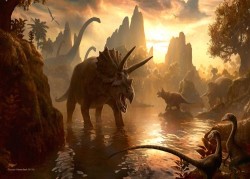 Image thumbnail