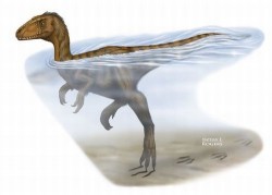 Image thumbnail