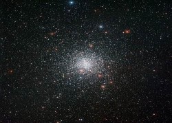 Image thumbnail