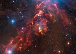 Image thumbnail