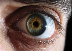 Image thumbnail