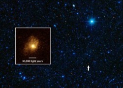 Image thumbnail