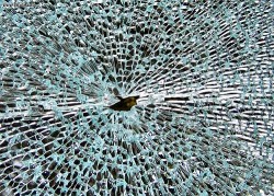 Image thumbnail