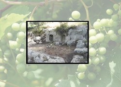 Image thumbnail