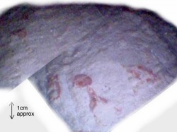 Image thumbnail