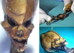 Image thumbnail