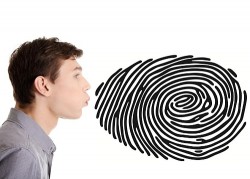 Image thumbnail