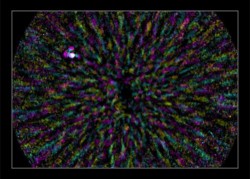 Image thumbnail