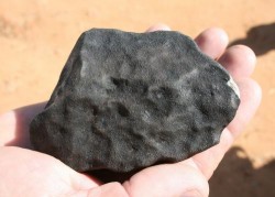 Image thumbnail