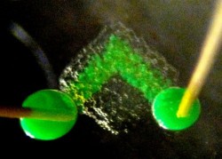 Image thumbnail