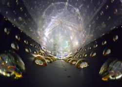 Image thumbnail