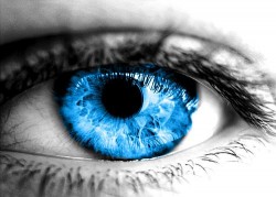Image thumbnail