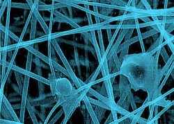 Image thumbnail