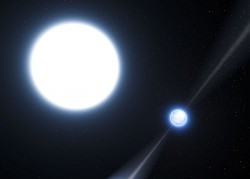 Image thumbnail