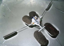 Image thumbnail