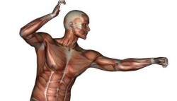 Image thumbnail