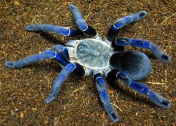Image thumbnail