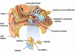 Image thumbnail