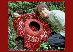 Image thumbnail