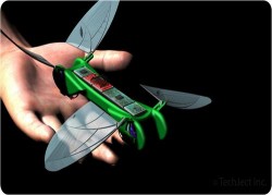 Image thumbnail