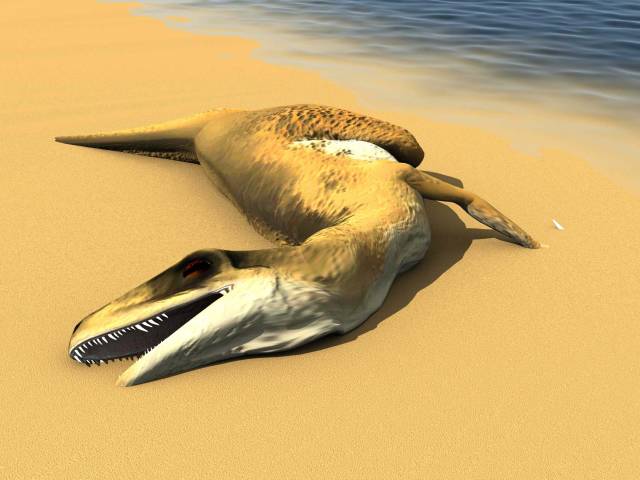 Nedávno rozbouřila vody vědeckého světa informace o nálezu fosilních pozůstatků dvou dravých dinasaurů dosud neznámého druhu, příbuzných masožravému druhu Tyrannosaurus Rex a to současně na dvou, několik tisíc kilometrů vzdálených místech Antarktidy.