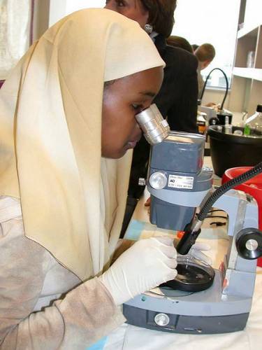 Věda v subsaharské Africe kolabuje, odborníci prchají