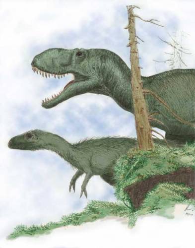 V poslední době došla většina paleontologů po analýze vývojového kladogramu (vývojového stromu) čeledi Tyrannosauridae k závěru, že tito populární draví obři Severní Ameriky a východní Asie byli pokryti primitivní formou drobného peří, které v jejich případě fungovalo jako srst (viz 21. STOLETÍ, č. 9/2004).