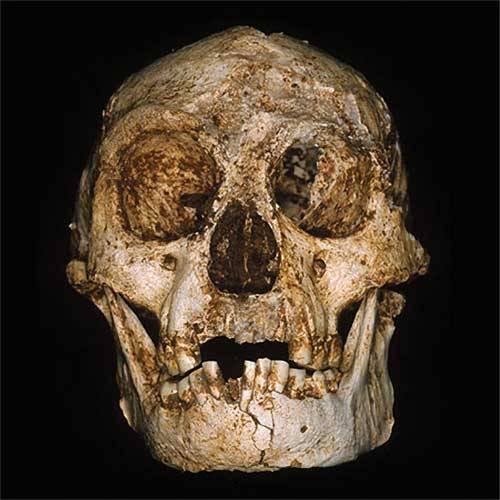 Ještě před 18 tisíci lety žil na indonéském ostrově Flores trpasličí lidský druh, nejmenší ze všech hominidů, zcela odlišný od druhu Homo sapiens.