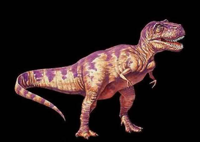 Americkým vědcům se podařilo z kostí 68 milionů let starého Tyrannosaura rexe získat zbytky měkké tkáně! Jejich objev mění dosavadní teorie paleontologů.