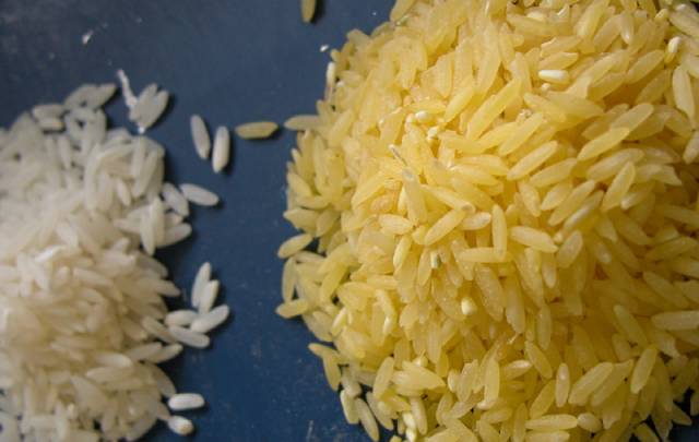 Britští vědci právě vytvořili nový druh tzv. zlaté rýže, geneticky modifikované plodiny, která obsahuje velké množství betakarotenu.