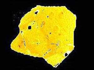 4,4 miliardy let starý mikroskopický krystal zirkonu, který je od roku 2001 považován za vůbec nejstarší objekt na Zemi, mohli právě v těchto dnech spatřit Američané.