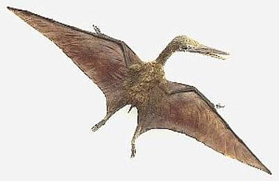 Na základě nejnovějších nálezů ostatků pterosaura se britští paleontologové domnívají, že rozpětí křídel tohoto pradávného tvora dosahovalo až neuvěřitelných 18 metrů.