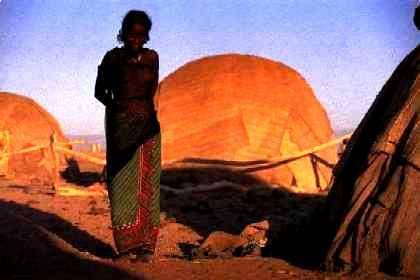 V Etiopské  afarské poušti se po zemětřesení vytvořila čtyři metry široká a 60 kilometrů dlouhá puklina. Podle vědců je první fází oddělování země od afrického kontinentu.