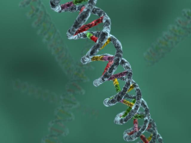 Vědci z Ohio State University vyvinuli proces, díky kterému mohou řetězit dlouhé úseky DNA a skládat je do přesných obrazců.