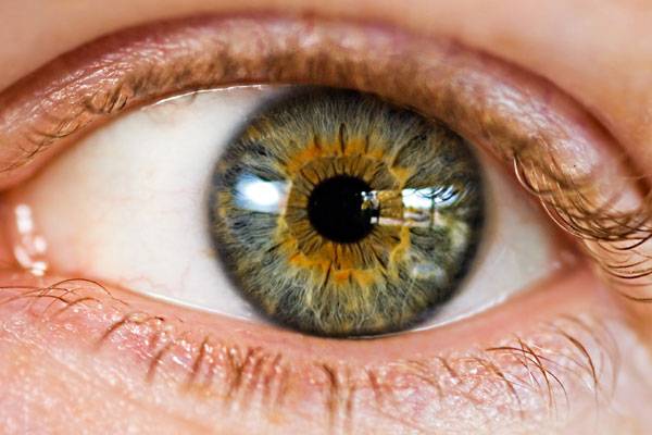 Zrakem přijímáme zhruba tři čtvrtiny všech vjemů z okolí. Jak jsme ale k očím vlastně přišli? Na to velmi úspěšně hledají odpověď i čeští vědci. Ti navíc odhalili nečekanou spojitost mezi vývojem zraku a sluchu.
